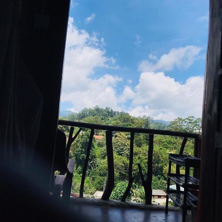 Ella City Reach Hostel Номер фото